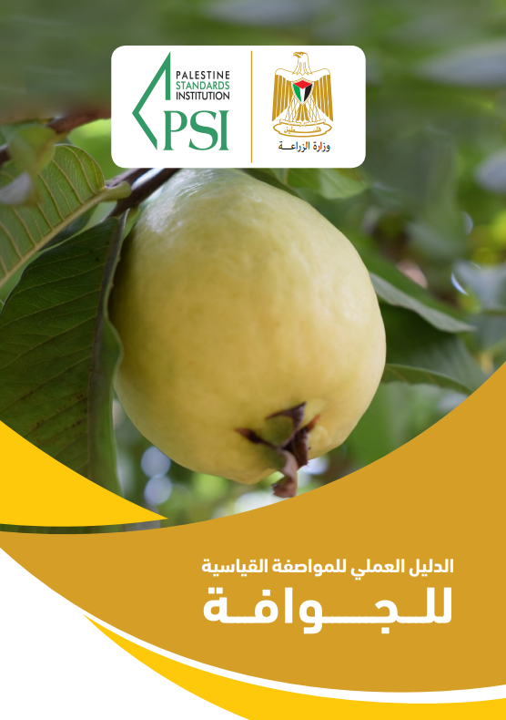 صورة الإصدار
